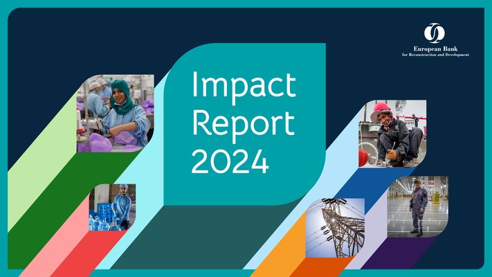 Impact Report 2024